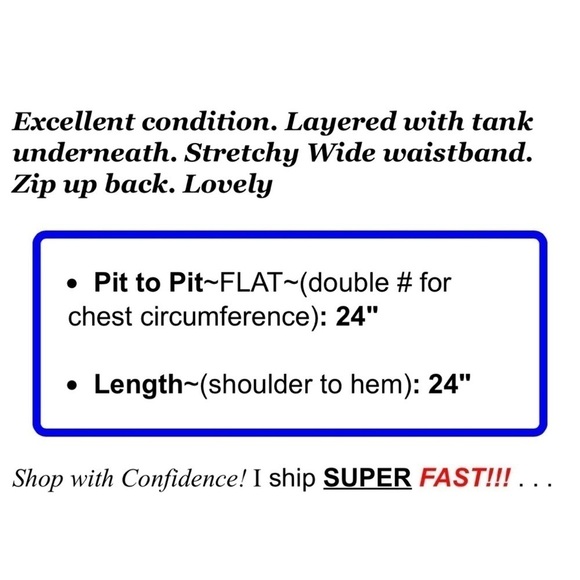 Cabi Navy Blue White Elephant Print Chiffon Overlay Layered Blouse Womens Sz S - Picture 2 of 13